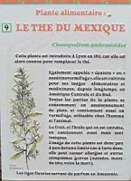 P09 - The du Mexique.jpg